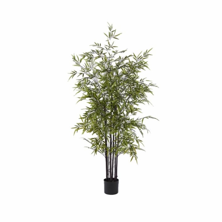 EDG Enzo De Gasperi Bambù artificiale con vaso alto 150 cm