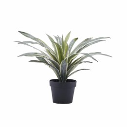 EDG Agave Succulent artificiale con vaso alta 45 cm