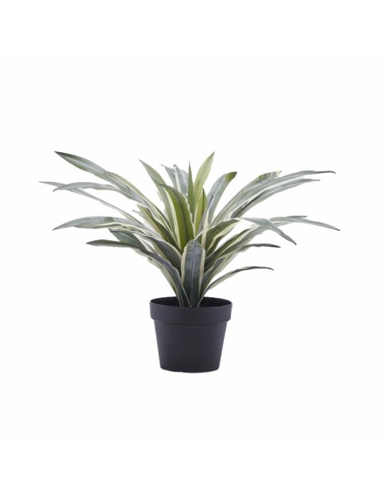 Agave Succulent Artificiale H45 con Vaso – EDG Enzo De Gasperi