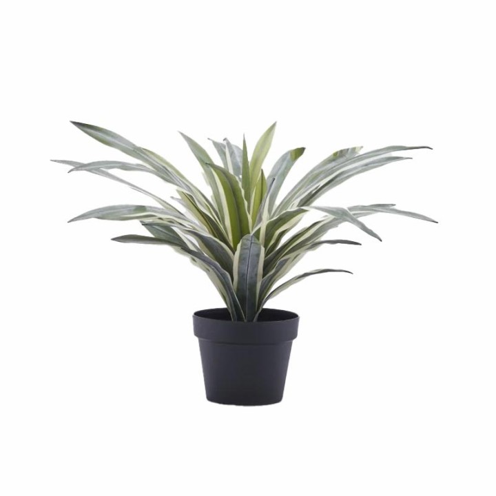 EDG Agave Succulent artificiale con vaso alta 45 cm