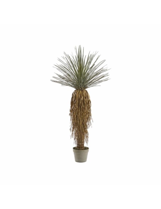 Yucca Artificiale con Vaso H.122 cm Verde - EDG Enzo De Gasperi