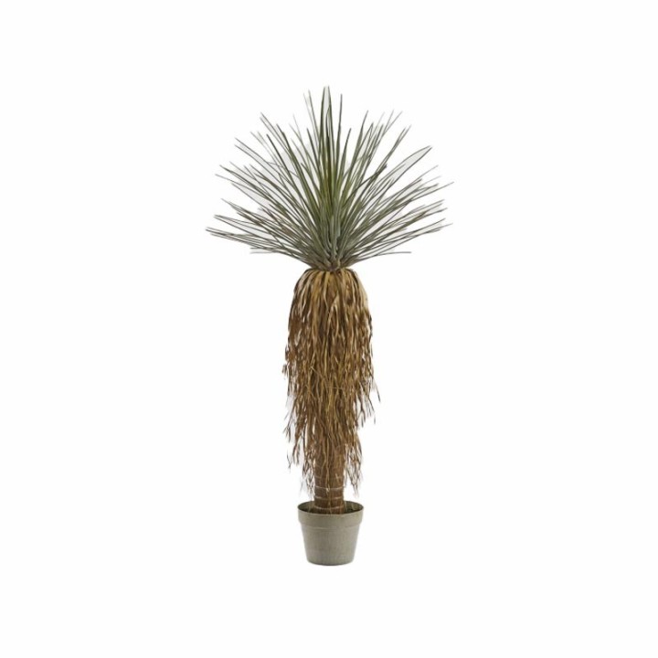 EDG Enzo De Gasperi Yucca artificiale con vaso alta 122 cm