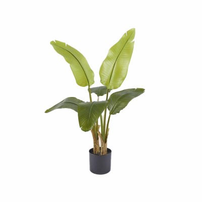 BANANO C/VASO H90