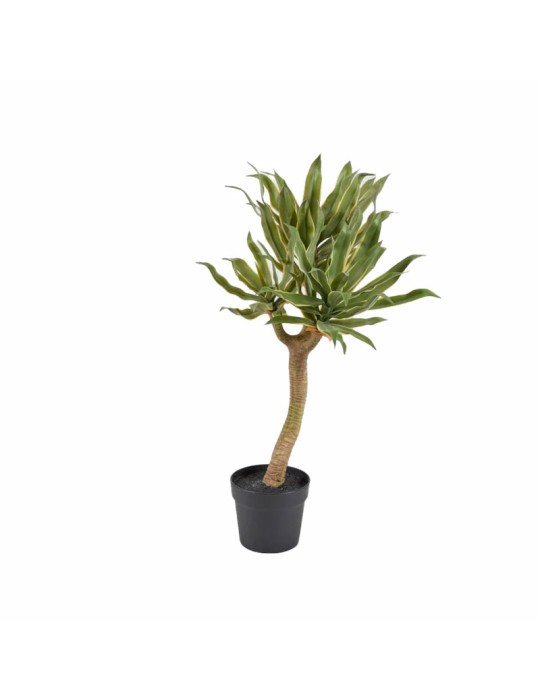 Pianta Artificiale Agave Chic con Vaso H70 cm - Design Realistico | EDG