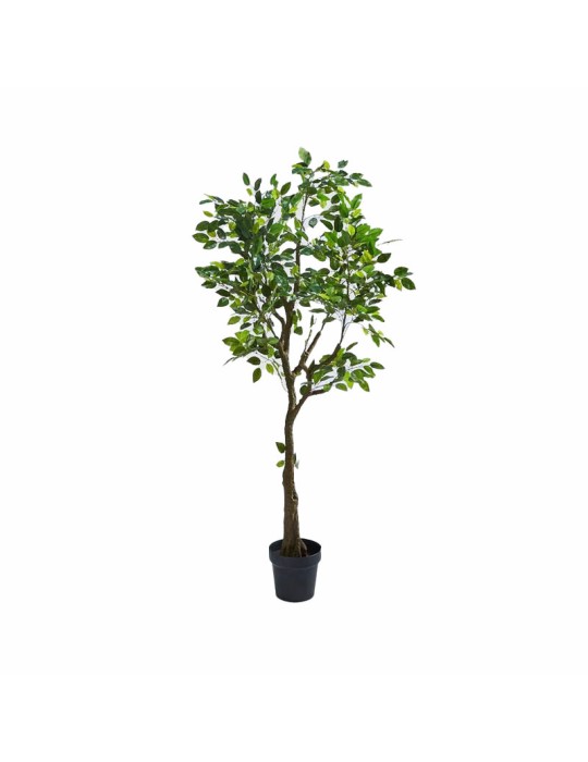 Pianta Artificiale Ficus Benjamin con Vaso H138 cm - EDG Enzo De Gasperi