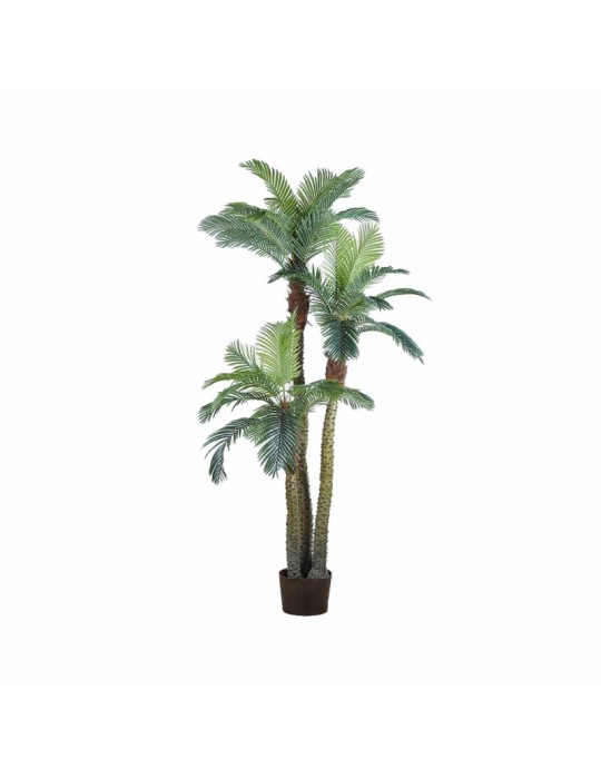 Palma Tropicale Areca Artificiale con Vaso x3 H300 cm - EDG Enzo De Gasperi