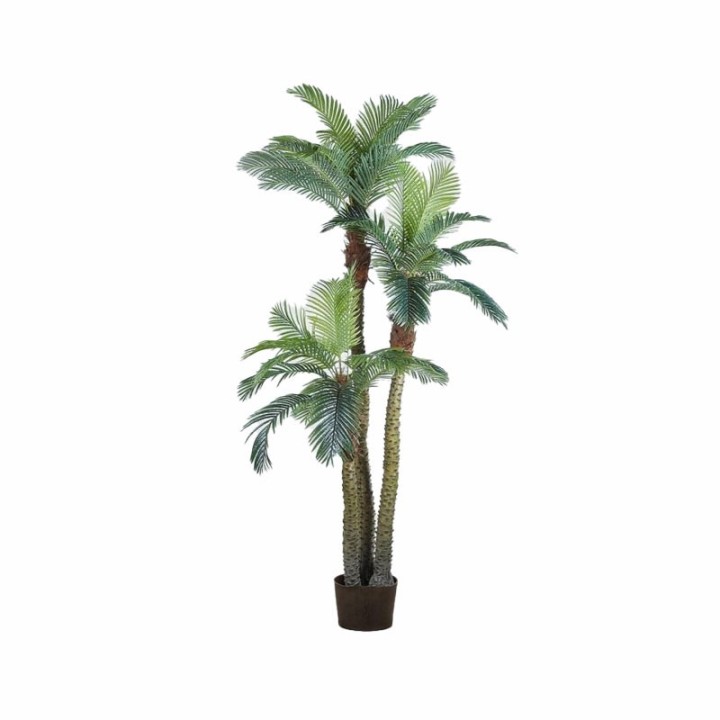 EDG Palma Areca artificiale tre fusti alta 300 cm
