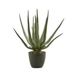 EDG Aloe Chic artificiale con vaso alta 45 cm