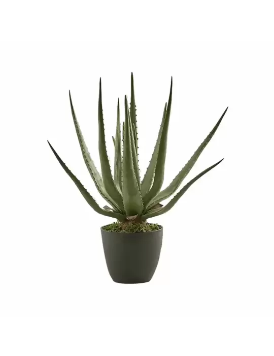 Aloe Chic Artificiale con Vaso H45 cm | EDG – Enzo De Gasperi