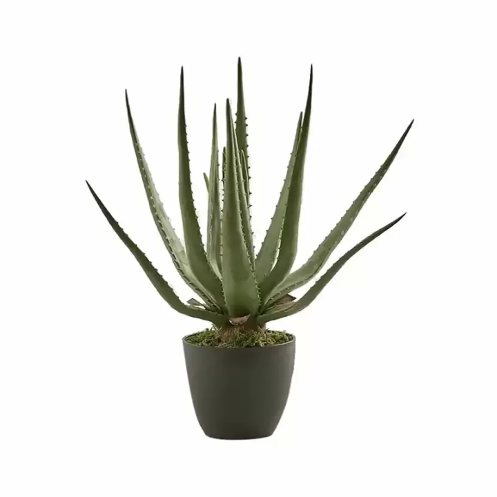 EDG Aloe Chic artificiale con vaso alta 45 cm