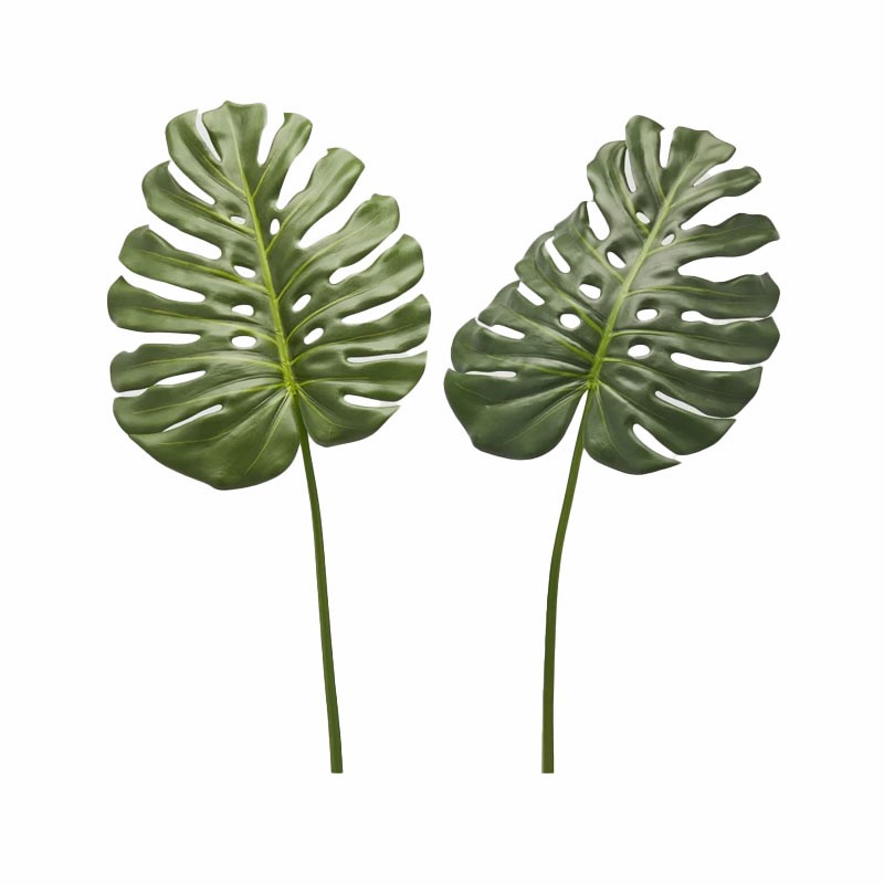 Stelo Monstera Artificiale Foglia H.100 cm Verde Misto (2 Assortiti) - EDG Enzo De Gasperi