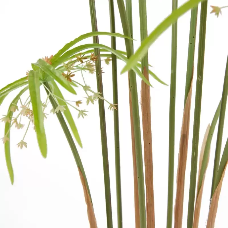 PAPIRO CHIC C/VASO H120