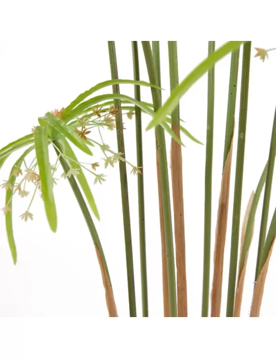 PAPIRO CHIC C/VASO H120