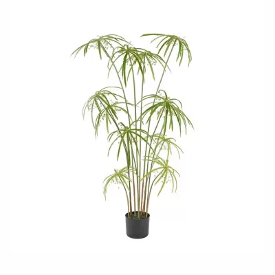 PAPIRO CHIC C/VASO H120