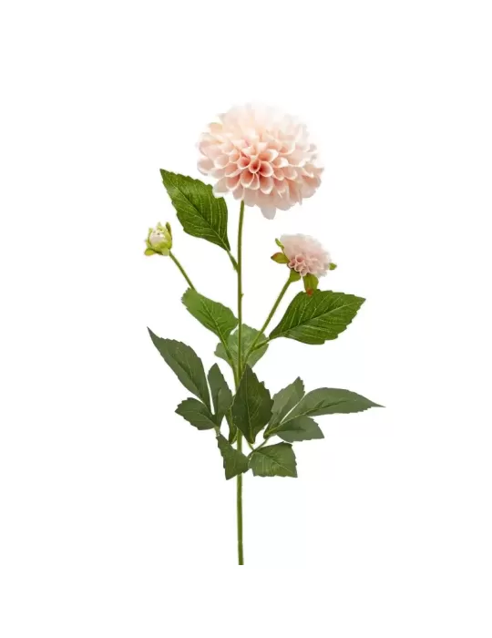 DALIA RAMO X2 C/FOGLIE C/BOCCIOLO H70