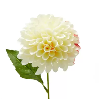Stelo Floreale Artificiale Dahlia x2 con Bocciolo H70... 2