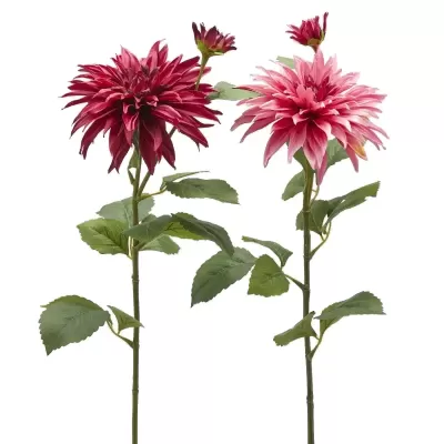 DALIA RAMO X2 C/FOGLIE C/BOCCIOLO H80