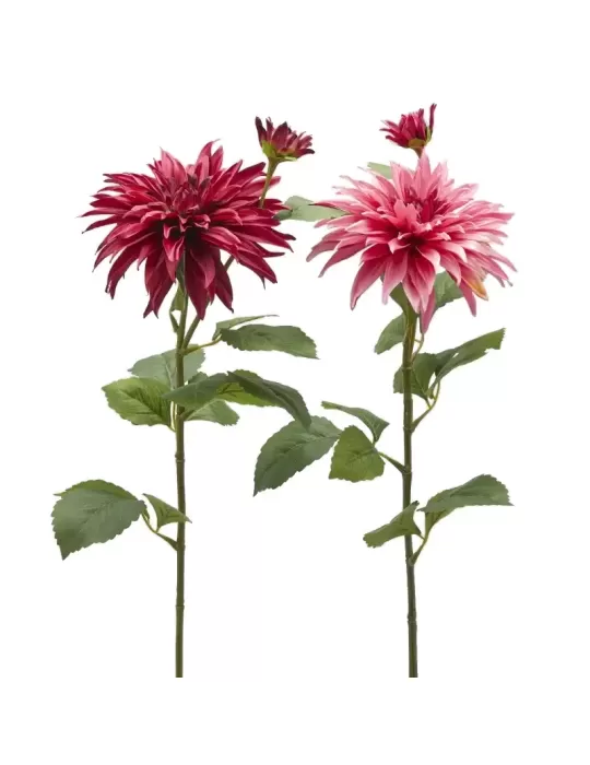 DALIA RAMO X2 C/FOGLIE C/BOCCIOLO H80