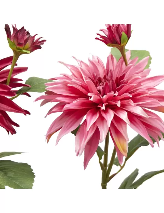 DALIA RAMO X2 C/FOGLIE C/BOCCIOLO H80