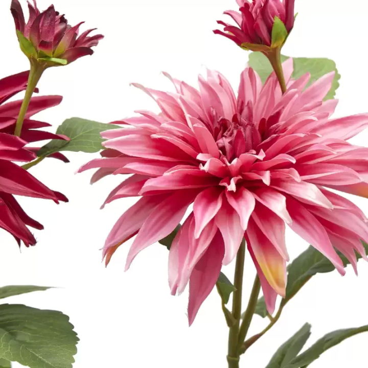 EDG Stelo 2 dalie artificiali due toni di rosa 80 cm