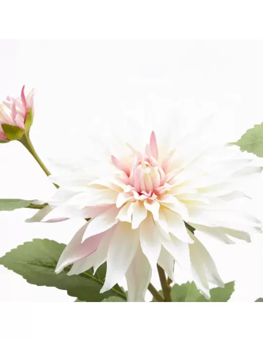 DALIA RAMO X2 C/FOGLIE C/BOCCIOLO H80