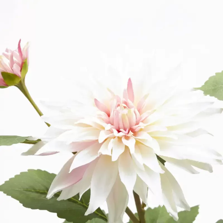 EDG Stelo 2 dalie artificiali rosa crema 80 cm