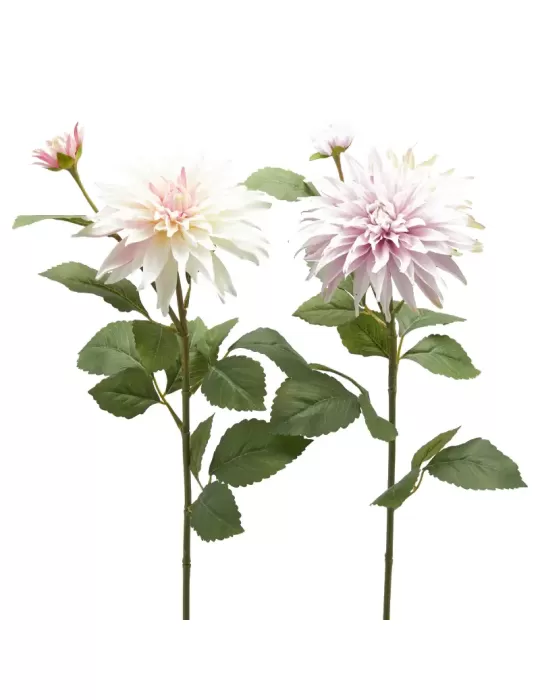 DALIA RAMO X2 C/FOGLIE C/BOCCIOLO H80