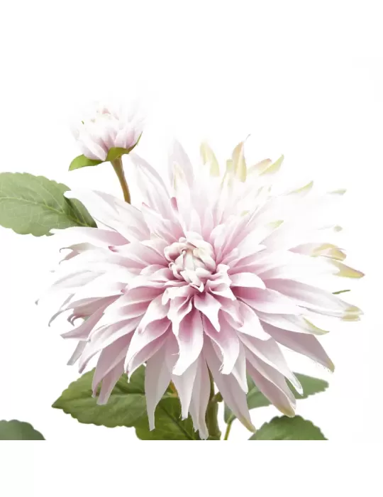 DALIA RAMO X2 C/FOGLIE C/BOCCIOLO H80