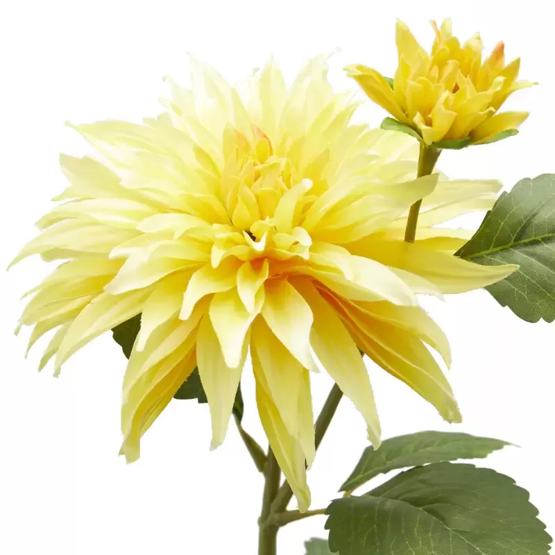 DALIA RAMO X2 C/FOGLIE C/BOCCIOLO H80