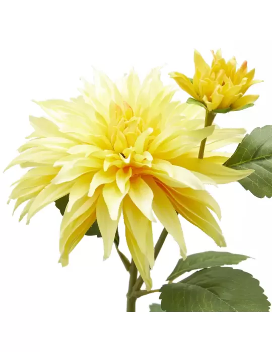 DALIA RAMO X2 C/FOGLIE C/BOCCIOLO H80