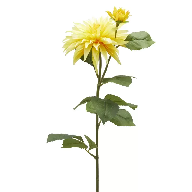 DALIA RAMO X2 C/FOGLIE C/BOCCIOLO H80