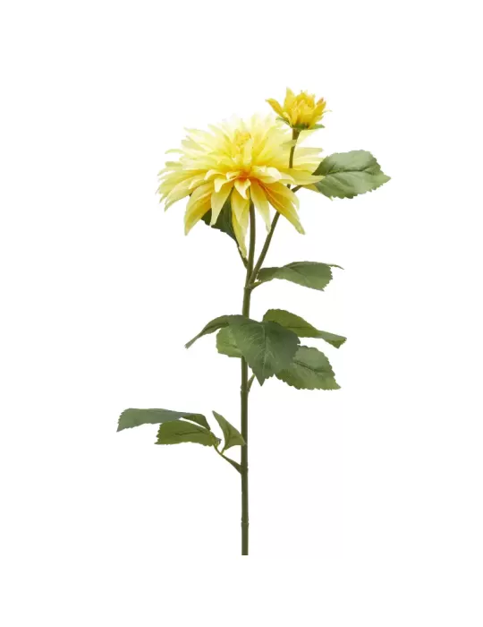 DALIA RAMO X2 C/FOGLIE C/BOCCIOLO H80