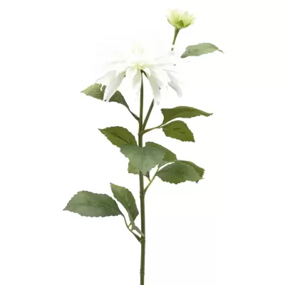DALIA RAMO X2 C/FOGLIE C/BOCCIOLO H80 2
