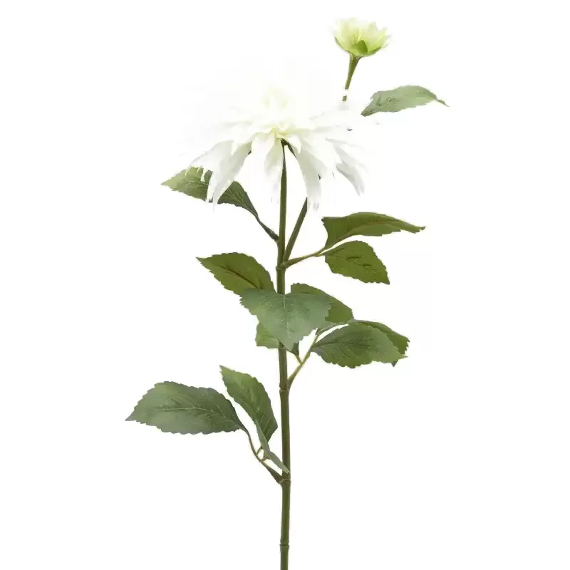 DALIA RAMO X2 C/FOGLIE C/BOCCIOLO H80