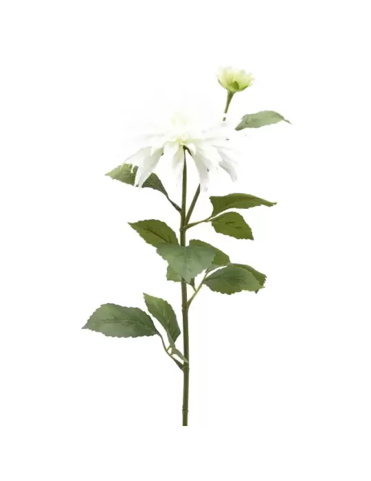 DALIA RAMO X2 C/FOGLIE C/BOCCIOLO H80