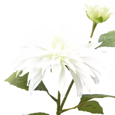 DALIA RAMO X2 C/FOGLIE C/BOCCIOLO H80