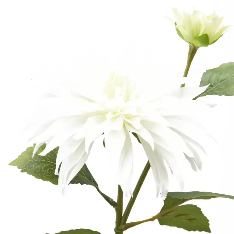 DALIA RAMO X2 C/FOGLIE C/BOCCIOLO H80