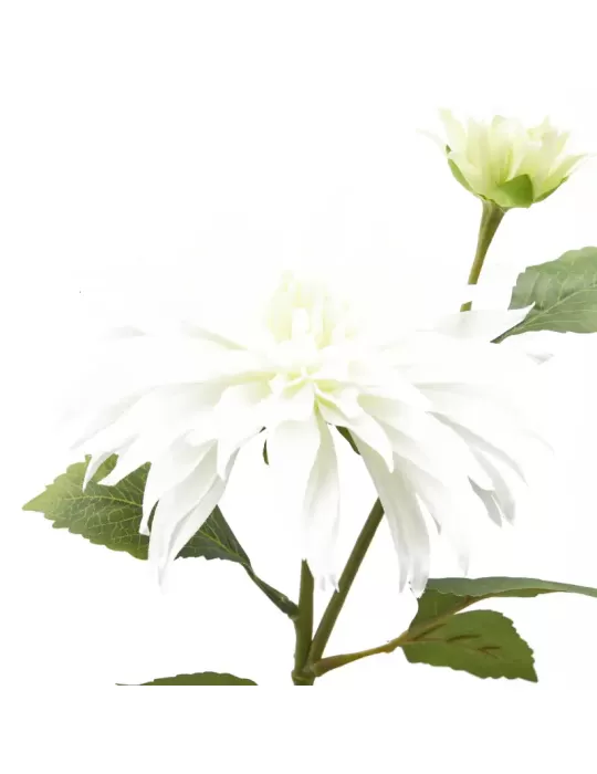 DALIA RAMO X2 C/FOGLIE C/BOCCIOLO H80