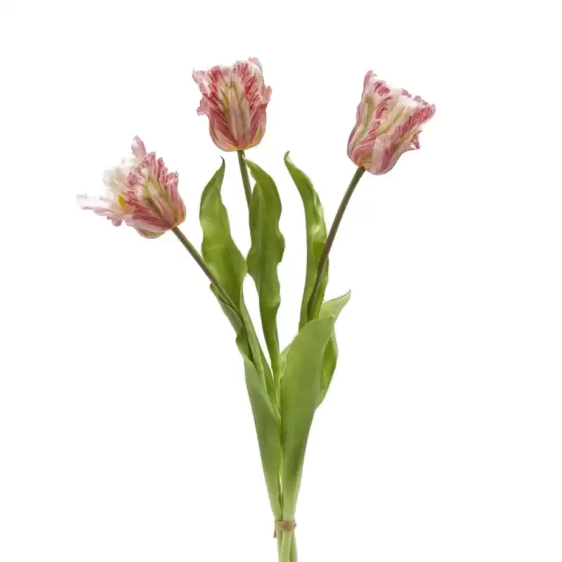 Bouquet 3 Tulipani Parrot Artificiali con Foglie H51 cm Verde Rosa – EDG Enzo De Gasperi