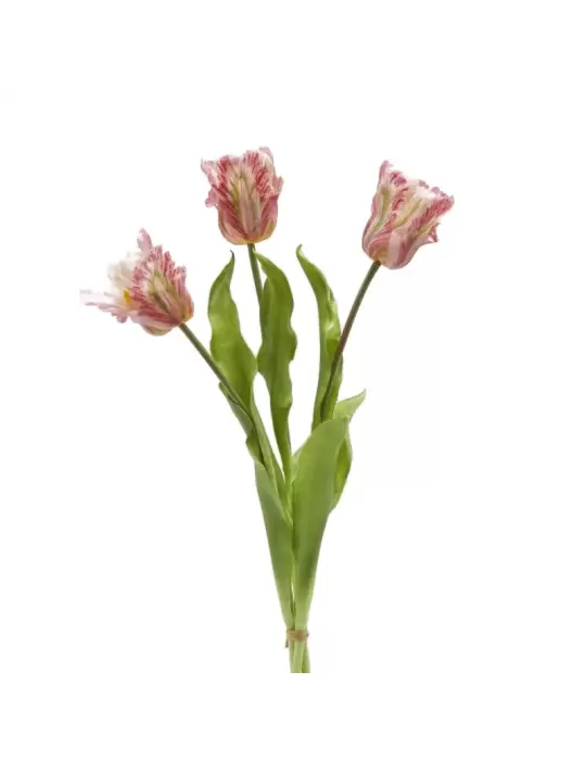 Bouquet 3 Tulipani Parrot Artificiali con Foglie H51 cm Verde Rosa – EDG Enzo De Gasperi
