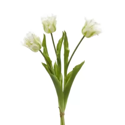 Bouquet Tulipani Pappagallo Parrot Bianco e Verde H51 cm... 2