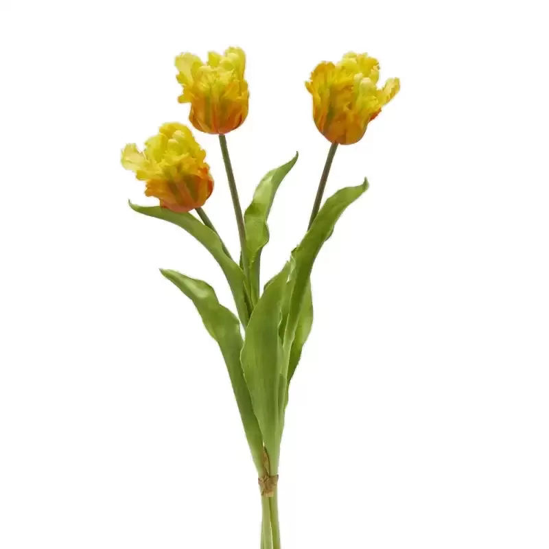Bouquet Tulipani Pappagallo Parrot Giallo e Verde H51 cm (Mazzo 3 pz) – EDG Enzo De Gasperi