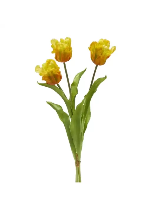 Bouquet Tulipani Pappagallo Parrot Giallo e Verde H51 cm (Mazzo 3 pz) – EDG Enzo De Gasperi