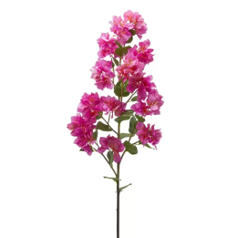 EDG Enzo De Gasperi Bouganvillea Dea rosa Beauty ramo 122 cm