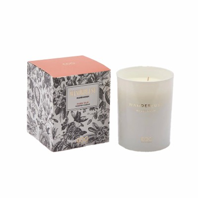 CANDELA WANDERLUST H12.50