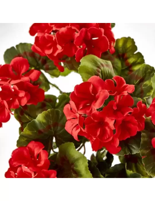 Geranio Cascante Rosso H75 – Pianta Artificiale...