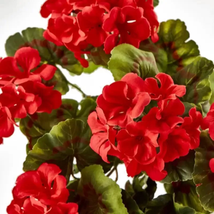 EDG Enzo De Gasperi Geranio cascante artificiale rosso 75 cm
