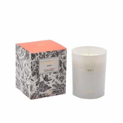 CANDELA WANDERLUST H12.50