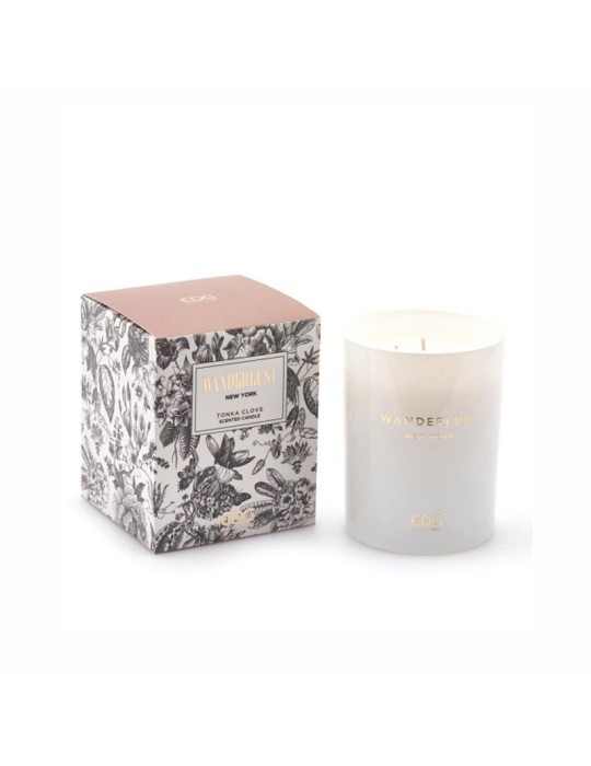 CANDELA WANDERLUST H12.50