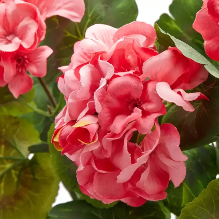 EDG Enzo De Gasperi Geranio cascante artificiale rosa 75 cm